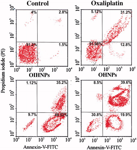 Figure 3. Quantitative assessment of apoptotic ratio of cell control, oxaliplatin, OHNPs, and OIHNPs by annexin V-FITC/PI staining at 72 h. Viable cells were conformed with 91.2% of the cells in the LL quadrant.