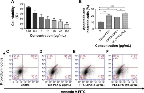 Figure 5 In vitro antiglioma effect of PTX-LIPO.Notes: (A) The viability over 24 h of U87 MG cells treated with PTX-LIPO at concentrations ranging from 0.01 to 100 µg/mL (n=3, mean ± SD). (B) The percentages of apoptotic and necrotic cells determined by the apoptosis study of U87 MG cells in the following: control group (C), group treated with 2 µg/mL free PTX (D) and groups treated with PTX-LIPO at concentrations of 2 µg/mL (E) and 10 µg/mL (F) (n=3, mean ± SD). *P<0.05, **P<0.01, and ***P<0.001.Abbreviations: FITC, fluorescein isothiocyanate; PTX-LIPO, paclitaxel liposomes.