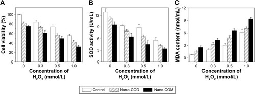 Figure 2 Cell viability, SOD activity, and MDA content detection.Notes: Changes of cell viability (A), SOD activity (B), and MDA content (C) of injured Vero cells after exposure to 100 μg/mL nano-COM or COD crystals for 6 hours. The injured Vero cells were obtained by different concentrations of H2O2 treatment (0 mmol/L, 0.3 mmol/L, 0.5 mmol/L, 1.0 mmol/L). Data were expressed as mean ± standard deviation from three independent experiments.Abbreviations: COM, calcium oxalate monohydrate; COD, calcium oxalate dihydrate; SOD, superoxide dismutase; MDA, malonaldehyde.