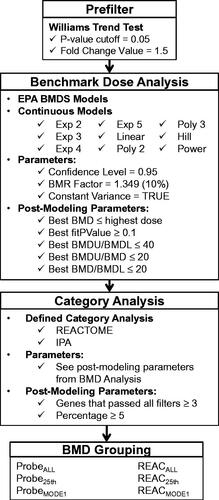 Figure 1. Workflow of steps taken for all datasets subjected to BMD modeling analysis. All normalized data was input into BMD Express, prefiltered, subjected to quality control measures, and run through category analysis. Resulting data was then grouped into probe and pathway data. Reactome (REAC) analysis was used for all pathway analysis. ProbeALL/REACALL = the entire probe/pathway distribution, 25th = first 25 percent of distribution, MODE = first mode of distribution.