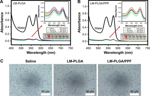 Figure 5 In vitro hemolysis assay. Hemolytic activity of the LM-PLGA (A) and LM-PLGA/PPF (B) at various nanocomposite concentrations (50, 100, 200, 300, and 400 μg/mL, respectively), incubated with rat red blood cells at 37°C for 2 h. Saline and water were used as negative and positive controls, respectively. Insets on the top right are the enlarged UV-vis spectra and bottom-right insets show the photograph of red blood cells treated with LM-PLGA and LM-PLGA/PPF at various concentrations. (C) Optical microscopy images of the dispersion of erythrocytes treated with different nanoparticles. Saline was used as a control.Abbreviations: PLGA, poly(d,l-lactic-co-glycolic acid); PPF, PEI-PEG-FA; PEI-PEG-FA, polyethyleneimine premodified with polyethylene glycol-folic acid.