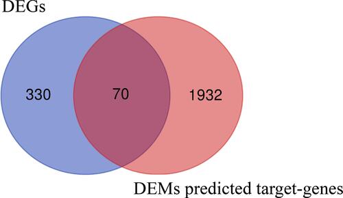 Figure 5 Identification of DETGs between DEGs and DEMs predicted target genes.