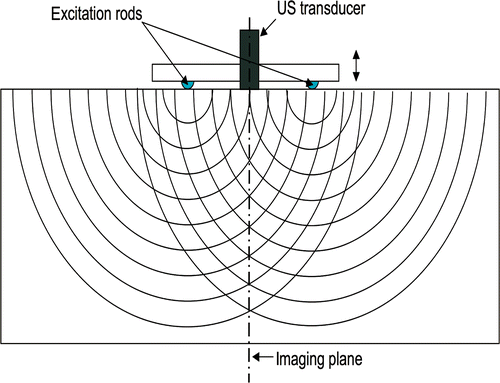 Figure 1. Schematic of transient elastography experiment performed in the laboratory of Mathias Fink Citation5. Vibrating rods set up propagating waves. The vertical displacement component, resulting from the propagating waves, as a function of time is recorded on the imaging plane.
