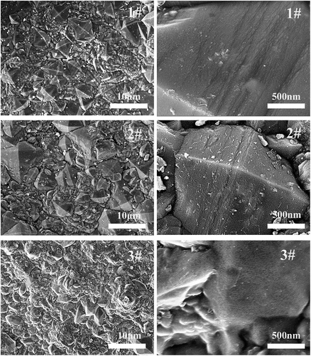 Figure 6. SEM images of SiC coatings.