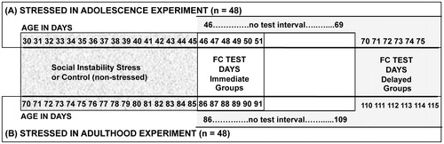 Figure 1. A timeline illustrating the experimental design and ages of rats in the adolescent stress and adult stressed experiments and the days of the fear conditioning sessions for the two time of testing groups (Immediate and Delayed).
