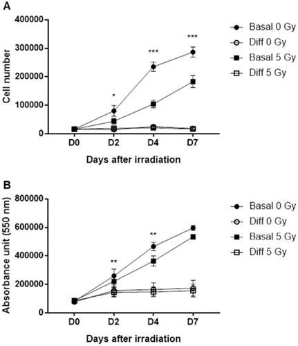 Figure 2. Effects of 5 Gy irradiation on C2C12 proliferation in basal or differentiation conditions. C2C12 cells were grown for 3 days, irradiated and counted 2, 4 and 7 days after irradiation. (A) Cells were counted under microscope or (B) proliferation/viability assay was performed with PrestoBlueTM. *p < 0.05, ** p < 0.01, *** p < 0.001 (ANOVA) denotes (A) the number of cells or (B) the level of absorbance in irradiated C1C12 vs. the same measure in control non-irradiated C2C12.