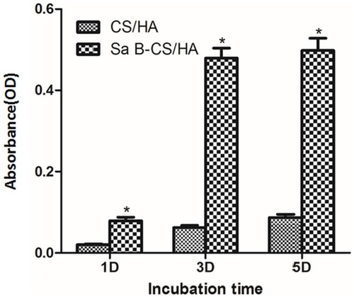 Figure 6 Proliferation of HUVEC in CS/HA and Sa B-CS/HA groups at 1 and 3 days..Notes: Values represent the mean of 3 times in each group (mean ± SD). *Significant difference between the values of Sa B-CS/HA group and CS/HA group (P<0.05).