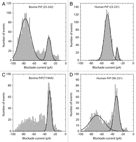 Figure 4. Blockade current histograms for prion proteins. (A) Bovine PrP (25–242), (B) human PrP (23–231), (C) mutant bovine PrP (T194A) and (D) Human PrP (90–231). The proteins were obtained from Jena Bioscience, and dissolved in 10 mM TRIS-HCl, 0.1 mM EDTA pH 8.0 at 1 mg/ml. Twenty μL was added to 8.6 μL of 5 M Guanadinium-HCl and incubated at 21°C for 1 h. The whole aliquot was then added to the cis-side of the nanopore chamber which contained 1 M KCl, 10 mM TRIS-HCl pH 7.8. The applied voltage was 100 mV
