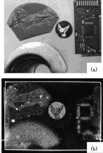 Figure 4 (a) Photograph of two personal ornaments, an emblem and soldered electronic IC parts. (b) Macro-autoradiograph of (a) obtained by the exposure for 2 months