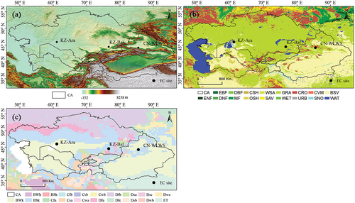 Figure 1. (a) Digital Elevation Model (DEM) map from Global Land One-Kilometer Base Elevation, (b) Land-cover map of the IGBP classification schemes form MCD12Q1, (c) Köppen climate classification map form Climate Change and Infectious Diseases and eddy covariance site distribution in Central Asia (CA). The abbreviation refers to S2 in supplementary materials.