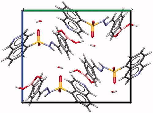 Figure 3. Unit cell representation of compound 5f (LASSBio-2024) along the a-axis.