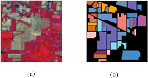 Figure 6. lndian pines dataset image. (a) false color image; (b) ground truth.