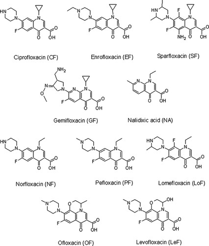 Figure 1.  Structures of the fluoroquinolones considered in this study.