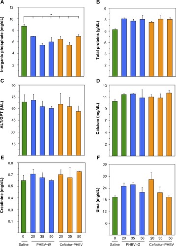 Figure 6 Biochemical blood parameters of rats after 7 days of treatment with PHBV–Ø and ceftiofur–PHBV (doses of 20, 35, and 50 mg/kg) administrated intramuscularly (gastrocnemius).