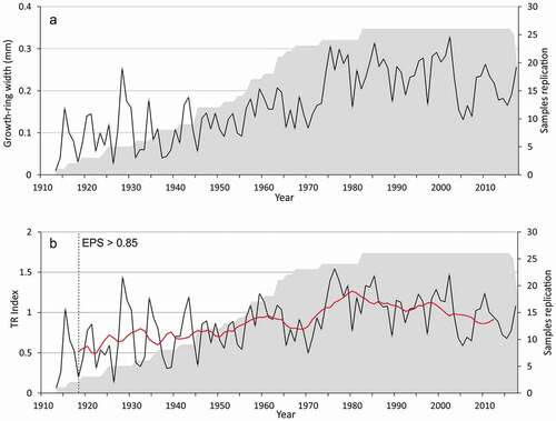 Figure 7. Time series plot of the bearberry willow (A) ring width and (B) index chronologies for the eastern shore of Hudson Bay covering the last 105 years. Red line indicates eleven-year moving average. Gray shading represents changing sample sizes between years. Note the decline in growth in recent decades