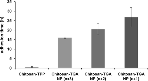 Figure 5.  Comparison of the residence times on the intestinal porcine mucosa. Studies were carried out with chitosan-TPP, chitosan-TGA (ox3), chitosan-TGA (ox2), and chitosan-TGA (ox1). Indicated values are means ± SD (n ≥ 3).