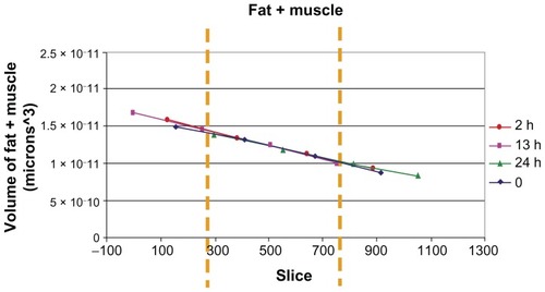 Figure 4 Quantification of different volumes in the investigated ROI.Notes: Overlapping of the fat + muscle signal for the four measurements in mice injected with 500,000 cells: from the left, the first peak corresponds to air; the second one is an overlapping of the signal coming from fat and muscle. In the magnification, the third one comes from labeled cells and bone.Abbreviation: ROI, region of interest.