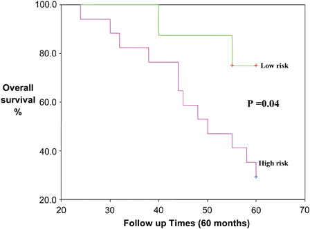 Figure 2. Kaplan–Meier curve for OS in high-risk B-CLL versus low-risk B-CLL patients subgroup. There are significant shortening in the OS in the high-risk group as compared with the low-risk group (P = 0.04).