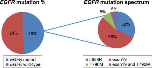 Figure 6 EGFR mutation spectrum in this 78-patient cohort. Fifty-one percent of patients (EGFR wild-type, 43/78) showed no mutation in any of the L858R, ex19del, or T790M alleles, while 49% of patients (EGFR mutant, 35/78) showed EGFR mutation in the L858R, ex19del, or T790M alleles; among these, 32% were L858R, 60% were ex19del, and 13% were T790M mutations. Two patients harbored both ex19del and T790M mutations (5%).