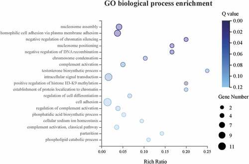 Figure 10. GO biological process enrichment analysis showed that the top 5 biological processes were significantly enriched (Q≤ 0.05) upon knockdown of CENPW in Huh7 cells.
