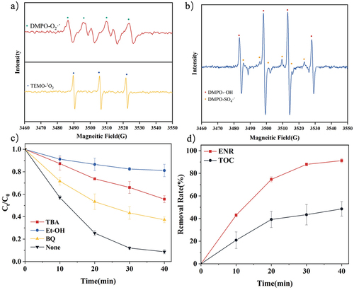 Figure 6. (a, b) ESR spectra showing DMPO and TEMO adducts formed with SO4·−, ·OH, ·O2− and1O2, (c) the effect of free radical scavengers on ENR degradation, (d) removal rate of ENR and TOC. Experimental conditions: [ENR] = 50 mg/L; [PMS] = 0.3 g/L; the molar ratio of Fe(III)-NTA = 1:1; [Fe(iii)-NTA] = 0.2 mM; peak voltage = 20 kV.