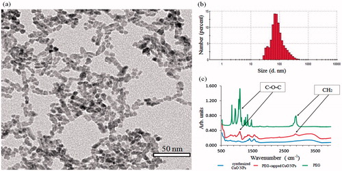 Figure 9. Characterizations of PEG-capped CuO NPs. (a) TEM image. (b) Size distribution measured by DLS (number mode). (c) FTIR spectra.