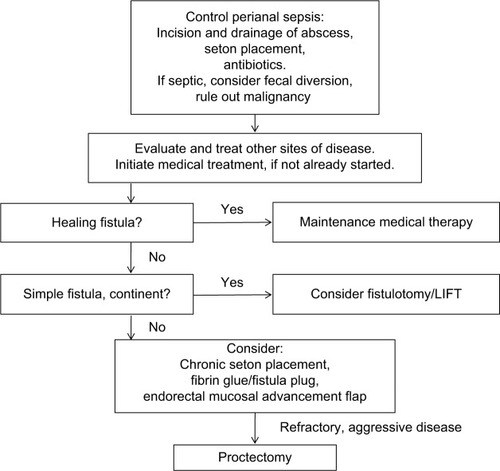 Figure 1 Suggested algorithm for treatment and management of perianal Crohn’s disease.