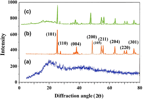 Figure 2 XRD patterns of (a) pure PUI, (b) pure nano-TiO2, and (c) 10 wt.% PUI/TiO2 BNC.