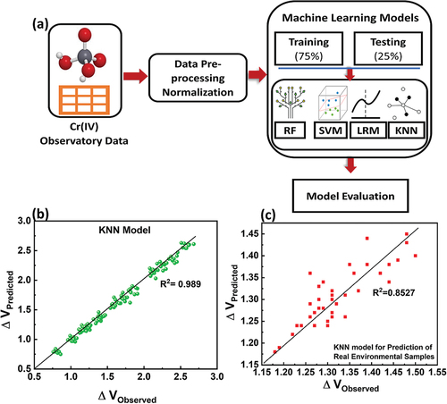 Figure 6. Data driven Predictive Modeling (a) Schematic for data preprocessing and predictive modeling (b) & (c) Scatter plots of predicted vs observed values for evaluation of KNN model in standards and Real Environmental Samples.