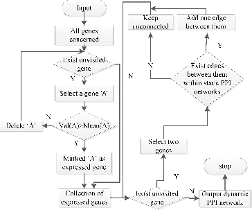 Figure 1. Flowchart diagram on how to construct dynamic PPI networks.Note: val(A) represents the expression value of gene ‘A’; Mean(A) represents the mean expression value of gene ‘A’, which is calculated by computing the average expression value of gene ‘A’ at different time points.