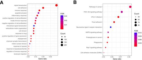 Figure 8 Functional analysis based on the DEGs between low and high-risk subgroups in the TCGA cohort. (A) Analysis of biological progress enrichment. (B) Analysis of KEGG enrichment.