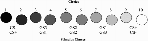 Figure 1. Conditioned and generalization stimuli.