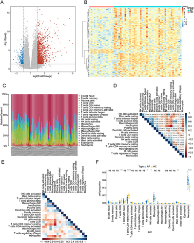 Figure 1 Identification of differentially expressed genes (DEGs) and immune infiltration analysis. (A) The volcano plot of DEGs between the acute pancreatitis (AP) and normal groups. (B) The heatmap of the top 100 DEGs between the AP and healthy control (HC) samples. (C) The composition of 22 kinds of immune cells. (D) The heatmap of the correlation between immune cells. The numbers in the square represent correlations. (E) The heatmap of the correlation between immune cells. (F) Box plot of the proportion of immune cells between the AP and normal groups.* P < 0.05, ** P < 0.01, *** P < 0.001, **** P < 0.0001.