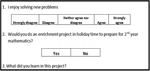 Figure 3. Sample questions from the questionnaire.