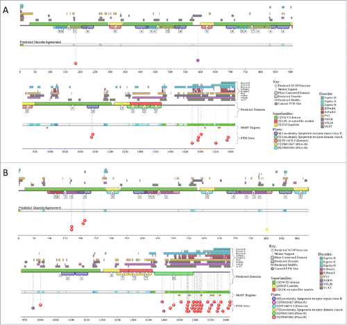 Figure 10. Evaluating disorder predisposition and some important disorder-related functional information evaluated for human LRP5 (UniProt ID: O75197, plot (A) and human LRP6 (UniProt ID: O75581, plot (B) by the D2P2 database.