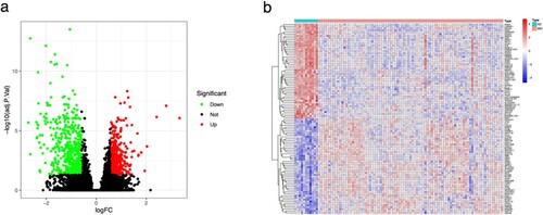 Figure 1. The volcano plot (a) and heatmap (b) of DEGs expressed between the MN and NC groups. Red dots or squares indicate highly expressed genes; Green dots or blue squares indicate lowly expressed genes.