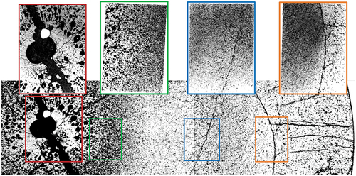 Fig. 6. HBC4 rodlet. Transverse cross section CT1’, obtained by grinding and polishing downward CT1.