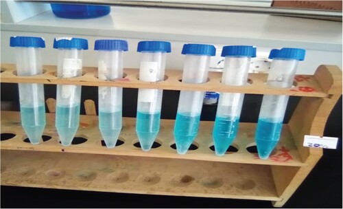 Figure 13. MB dye color fading upon addition of green ZC20 catalyst.