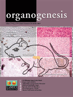 Cover image for Organogenesis, Volume 3, Issue 2, 2007