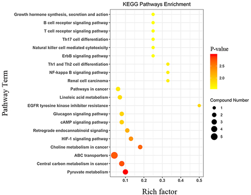 Figure 6 Statistics of KEGG enrichment in plasma. The x axis indicates the rich factor(number of significantly differentiated metabolites/total metabolites in this pathway), and the y axis indicates name of the KEGG metabolic pathway. The size and color of bubbles represent the number of metabolites and the p-value, respectively.