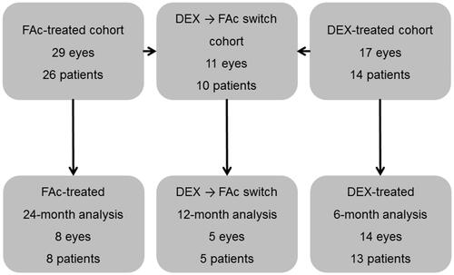 Figure 1 Study design and patient disposition. In the fluocinolone acetonide (FAc) implant cohort, 11 (from 10 patients) of the 29 eyes had been treated with a prior dexamethasone (DEX) implant. A subgroup of these (n=5 eyes from 5 patients) were assessed based on the FAc implant group having at least 12 months follow-up post-treatment and only one DEX implant being given prior to the FAc implant.