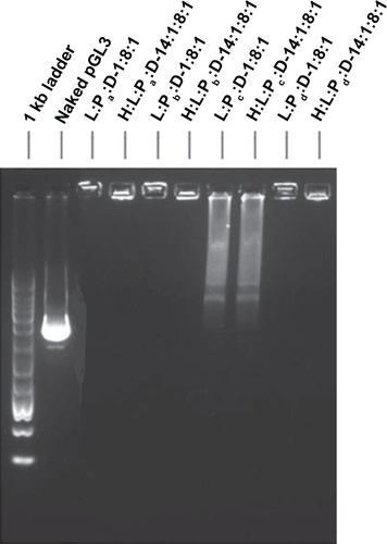 Figure S2 Electrophoretic mobility in 1% agarose gel for ternary complexes and Q-complexes wrapping pGL3 plasmid.