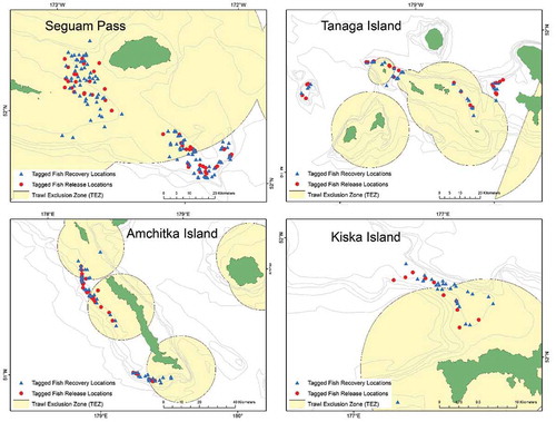 FIGURE 2. Atka Mackerel tag–release and recovery locations for each study area in the Aleutian Islands. Yellow circles denote the 20-nmi TEZs at Seguam Pass, and the 10–nmi TEZs at Tanaga Island, Amchitka Island, and Kiska Island.