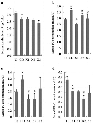 Figure 2. Xylitol had no significant effect on insulin concentration in serum but ameliorated lipid disorders in STZ-induced diabetic rats. (A) serum insulin level, (B) TG: triglyceride, (C) TC: total cholesterol, (D) HDL-C: high density lipoprotein cholesterol. Results are given as means ± SEM. Differences between groups were determined by ANOVA followed by Duncan’s test. * p < .05 vs control group; # p < .05 vs diabetic control group. C: control group; CD: diabetic control group; X1: 1.25 g/kg·bw xylitol; X2: 2.5 g/kg·bw xylitol; X3: 5 g/kg·bw xylitol.