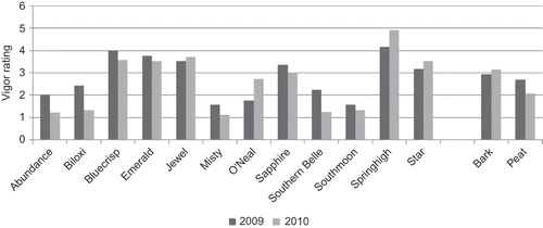 FIGURE 8 Effect of soil amendment on plant vigor ratings of 12 southern highbush cultivars established in a field infested with Phytophthora cinnamomi in south Mississippi in 2008. LSD (P = 0.05). Cultivar: 2009 = 1.27, 2010 = 1.66; Soil amendment: 2009 = 0.52, 2010 = 0.68.