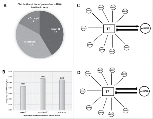 Figure 1. Pre-eudicot miRNA families that regulate transcription factors (TFs) are well-conserved in plants. (A) Distribution of pre-eudicot miRNA families that target different targets. (B) Pre-eudicot miRNA families that regulate TFs are less likely to be lost in plant. (C,D) Two models of miRNA-TF regulatory relationships.