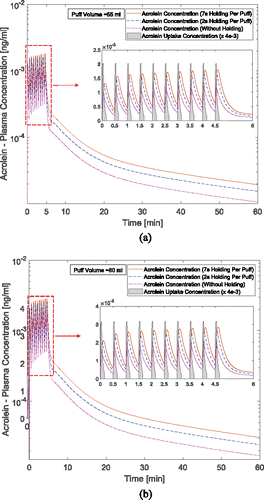 Figure 11. Time courses of acrolein plasma concentration: (a) 55 ml puffing volume and (b) 80 ml puffing volume (the acrolein uptake concentration has been scaled down for better visualization).