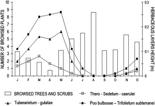 Figure 8. Monthly variations in the relationships between number of browsed plants(trees and scrubs) and height of herbaceous layer associations. Browsing frequency was low when the herbaceous vegetation peaked. Data on availability of grass associations are from the Monte Arcosu WWF Reserve archive.