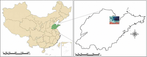Figure 1. The location of the study area in Shandong Province, China.