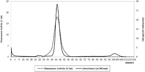 Figure 4. Sephacryl S-100 HR column as a gel filtration chromatography of B. cereus N1 mannanase preparation. Buffer: 50 mmol/L sodium acetate containing 0.2 mol/L NaCl, pH 6.